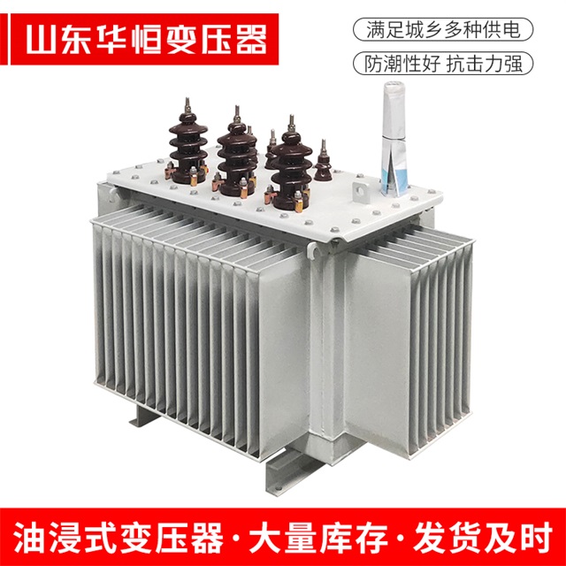 S13-10000/35清河清河清河油浸式变压器厂家