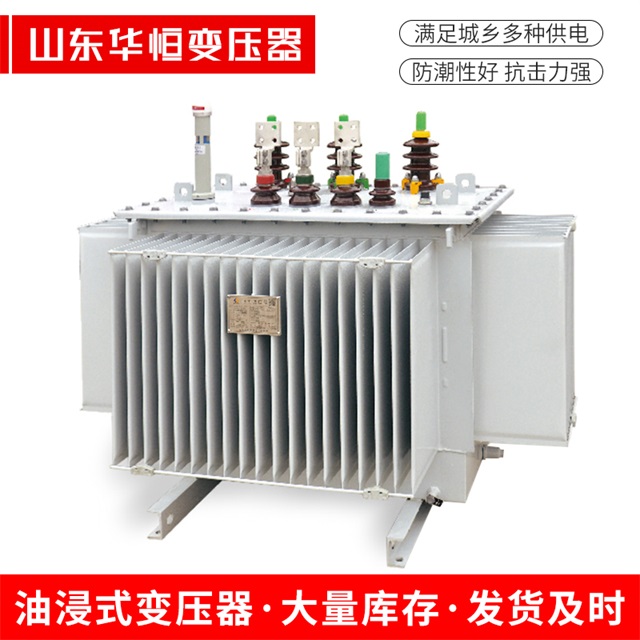 S13-10000/35清河清河清河电力变压器